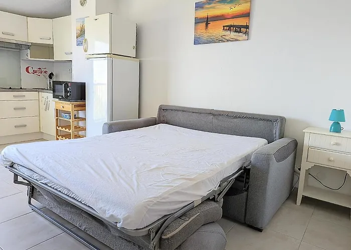 Proche Port Et Avec Wifi Et Climatisation Daire Agde